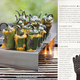 Illustration for article titled Memorial Day With Williams-Sonoma: Nom!
